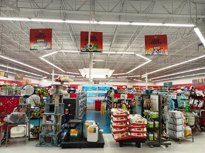 Petco Picture 8