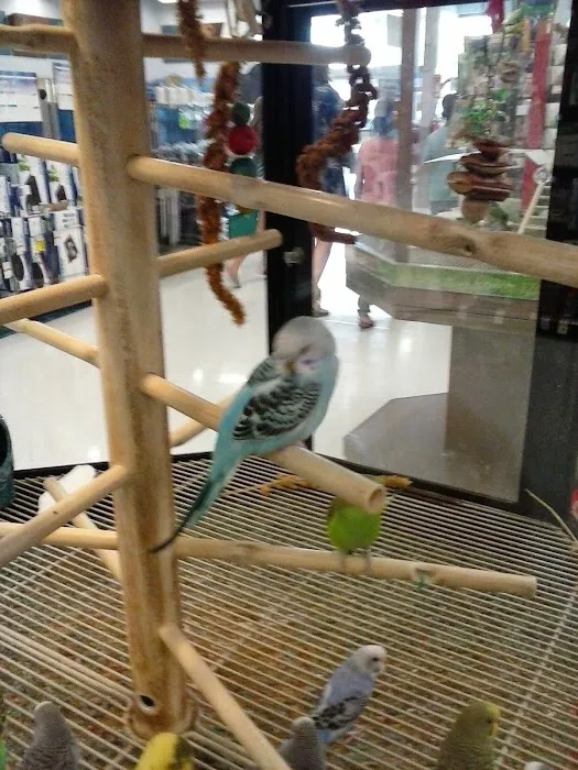Petco Picture 10