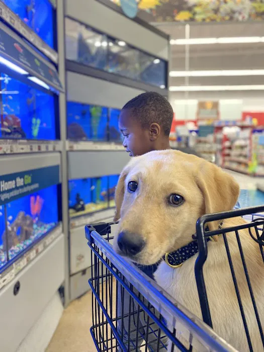 Petco Picture 2
