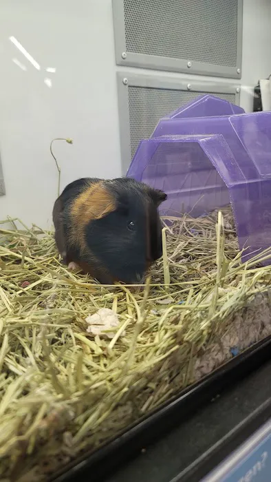 Petco Picture 1