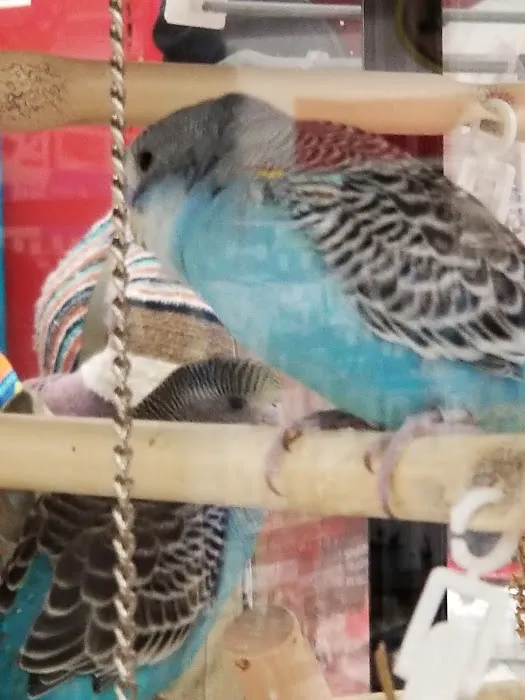 Petco Picture 7