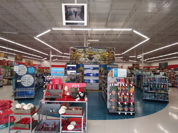 Petco Picture 4