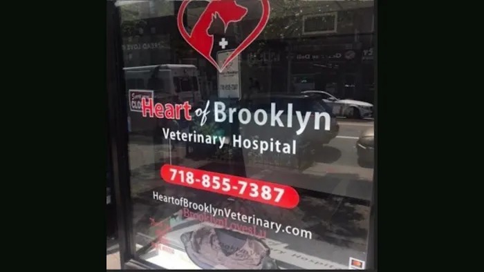 Heart of Brooklyn Veterinary Hospital - Fort Greene Picture 3