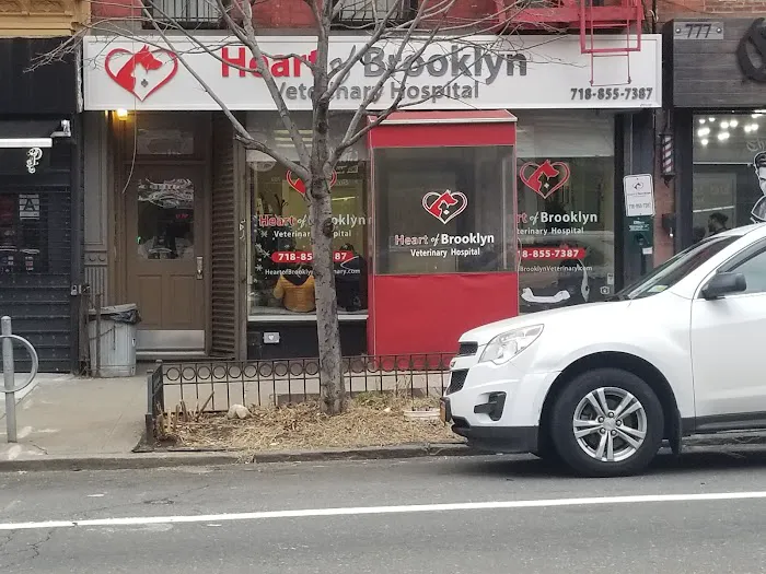 Heart of Brooklyn Veterinary Hospital - Fort Greene Picture 1