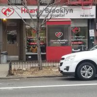 Heart of Brooklyn Veterinary Hospital - Fort Greene ico