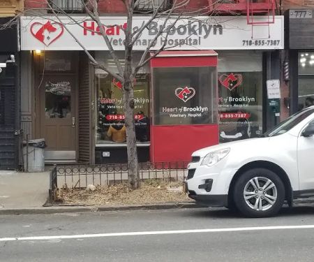 Heart of Brooklyn Veterinary Hospital - Fort Greene