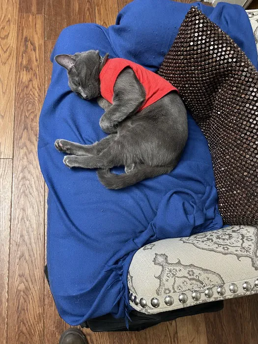 Pure Paws Veterinary Care of Clinton Hill Picture 4