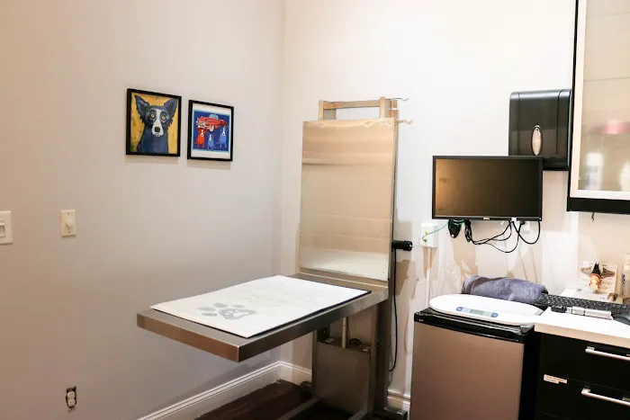 Pure Paws Veterinary Care of Clinton Hill Picture 7