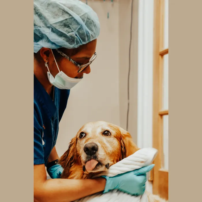 Pure Paws Veterinary Care of Clinton Hill Picture 9