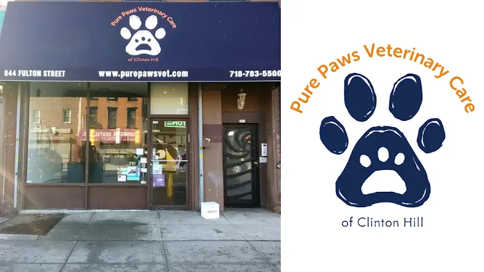 Pure Paws Veterinary Care of Clinton Hill Picture 8