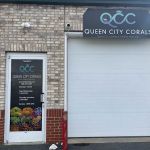 Queen City Corals