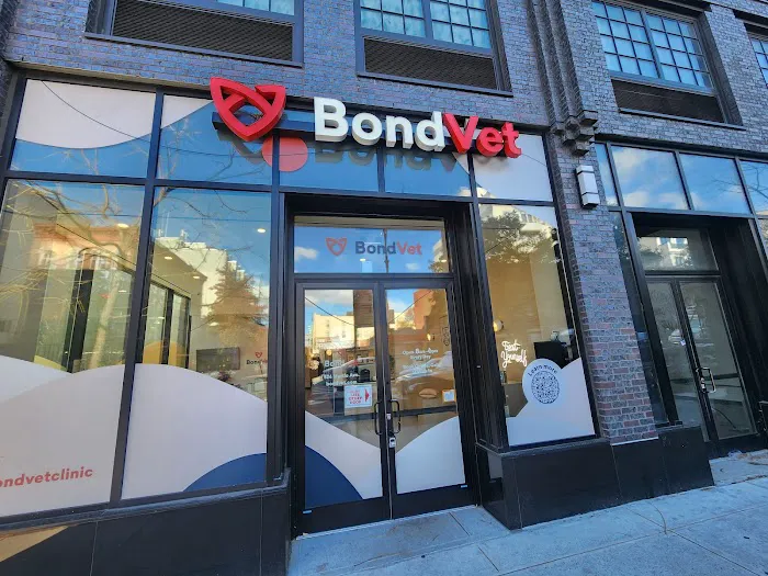 Bond Vet - Clinton Hill Picture 10