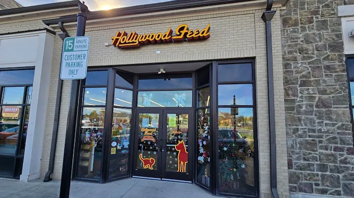 Hollywood Feed Picture 8