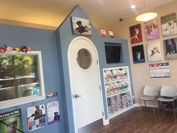 Clinton Hill Animal Clinic Picture 6