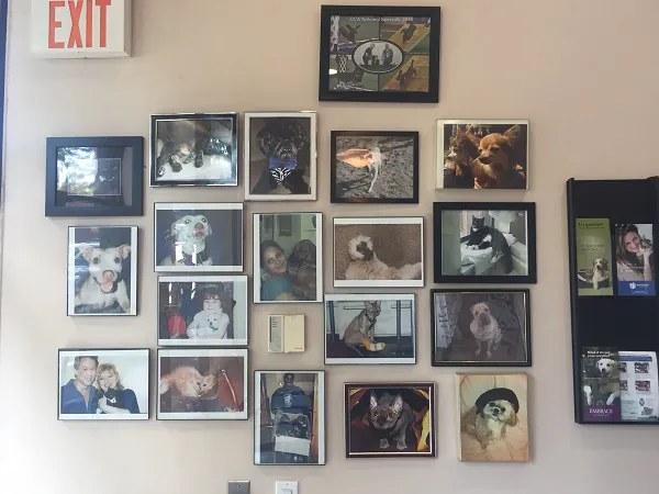 Clinton Hill Animal Clinic Picture 3