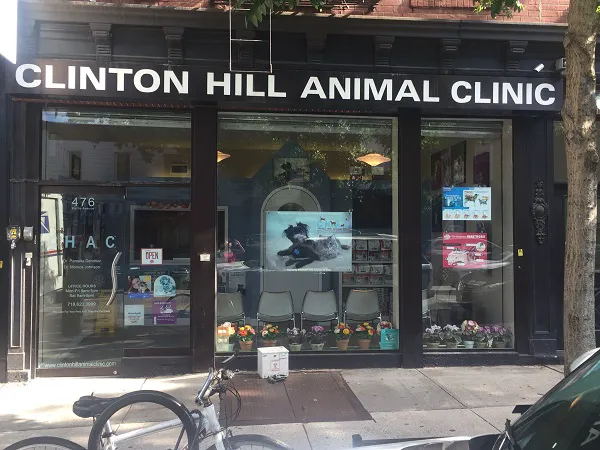 Clinton Hill Animal Clinic Picture 1