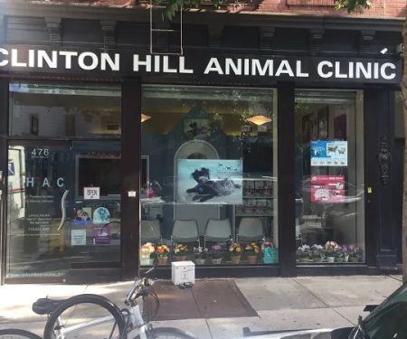 Clinton Hill Animal Clinic