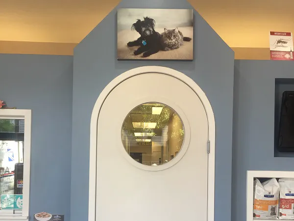 Clinton Hill Animal Clinic Picture 2