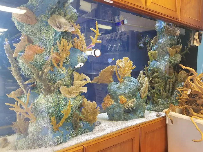 C-MACS Aquarium - CLT Picture 5