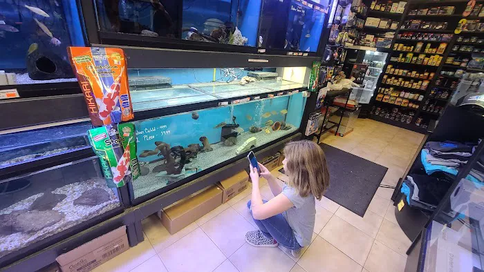 C-MACS Aquarium - CLT Picture 1