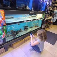 C-MACS Aquarium - CLT ico