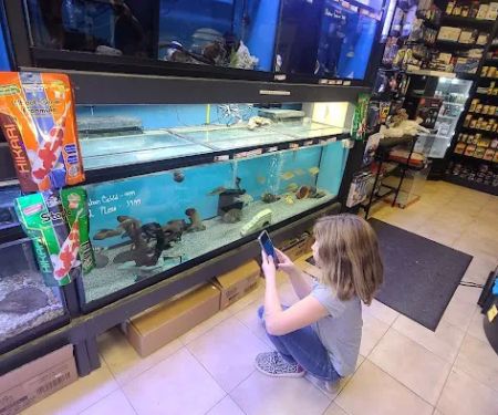 C-MACS Aquarium - CLT