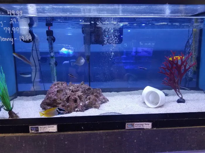 C-MACS Aquarium - CLT Picture 3