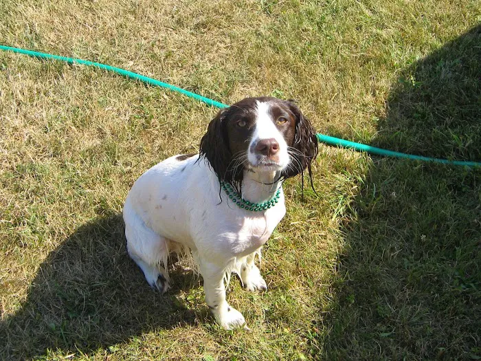 Binghamton Animal Clinic Picture 10