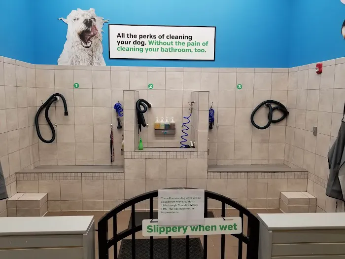 Pet Supplies Plus Fort Mill Picture 4