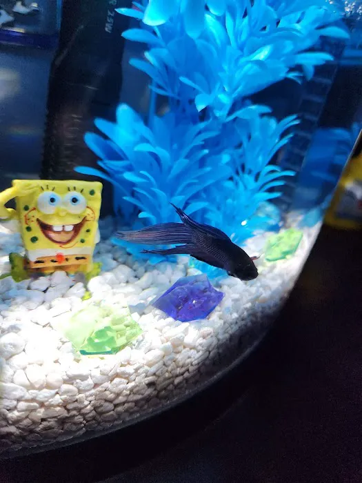 Pet Supplies Plus Fort Mill Picture 6