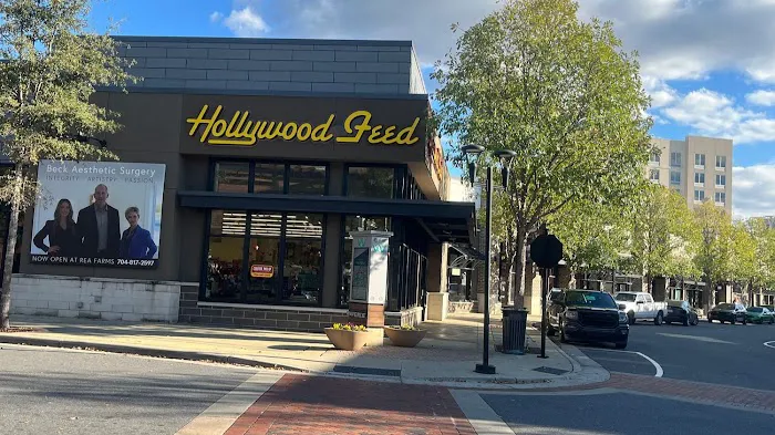 Hollywood Feed Picture 5