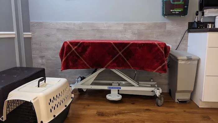 Vestal Veterinary Hospital: Mckinney Christopher DVM Picture 7