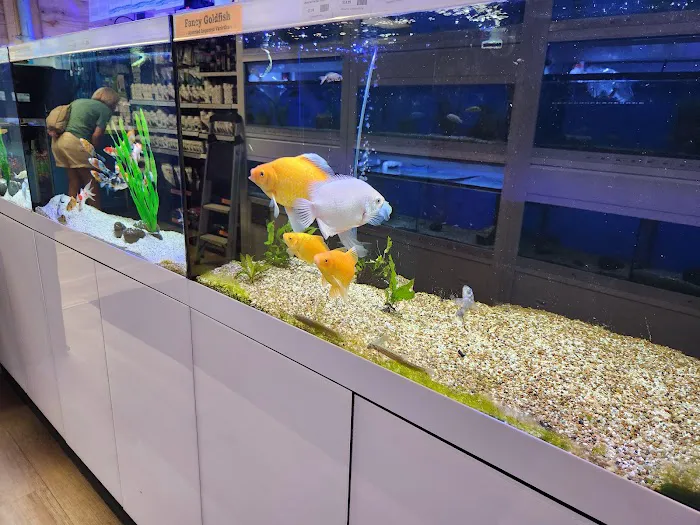 The Fish Room of Charlotte Picture 4