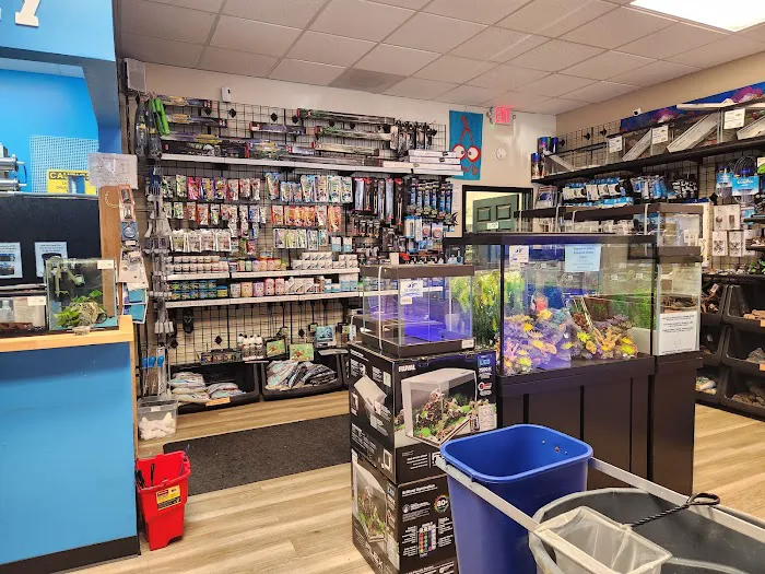 The Fish Room of Charlotte Picture 5