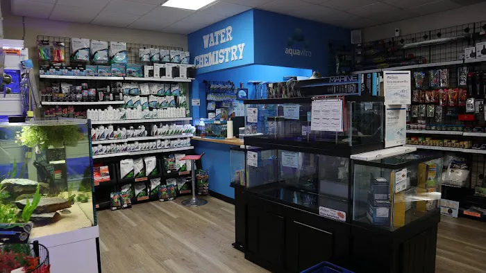 The Fish Room of Charlotte Picture 9