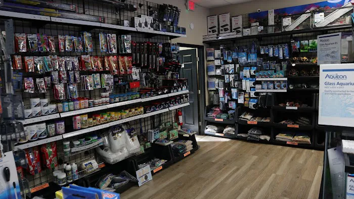 The Fish Room of Charlotte Picture 3