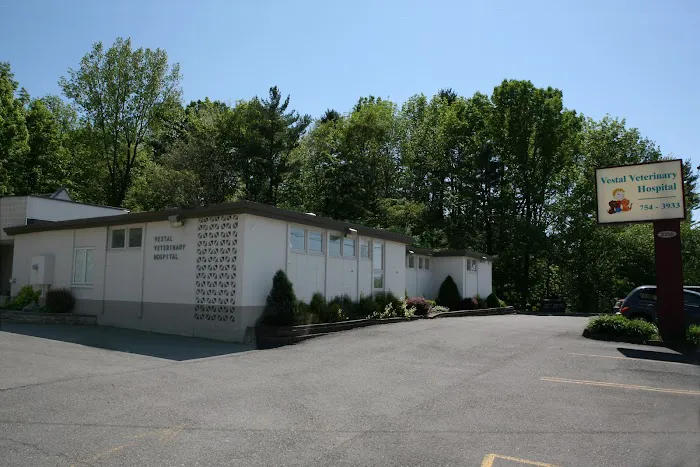Vestal Veterinary Hospital Picture 1