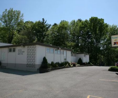 Vestal Veterinary Hospital