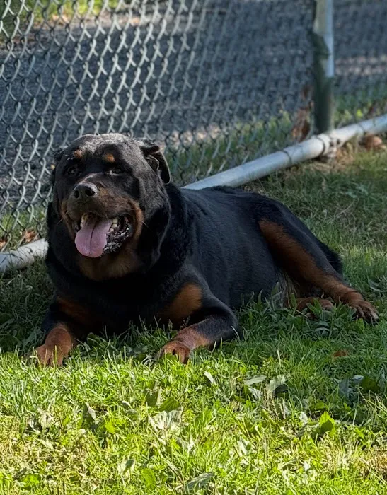 Nanuet Animal Hospital Picture 6
