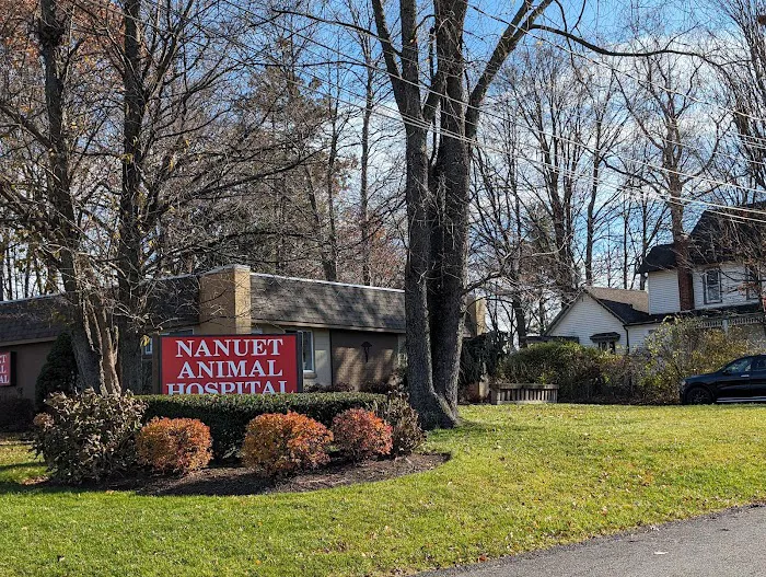 Nanuet Animal Hospital Picture 7