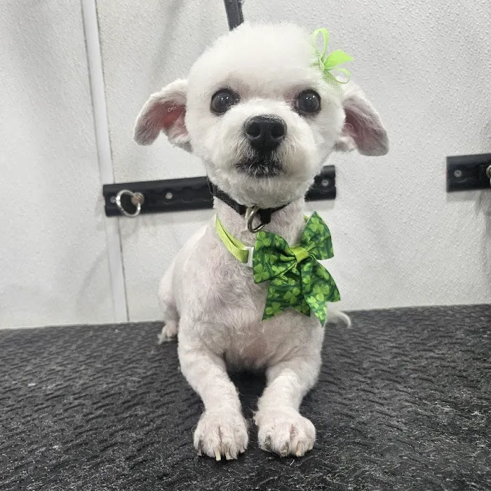 Nanuet Animal Hospital Picture 3
