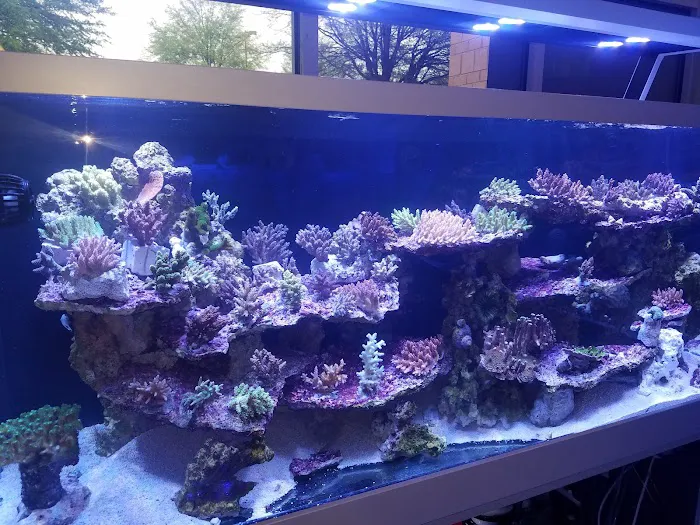 Nemo's Reef Picture 4