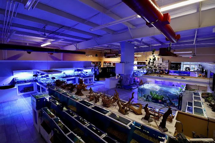 Nemo's Reef Picture 1