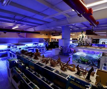 Nemo's Reef