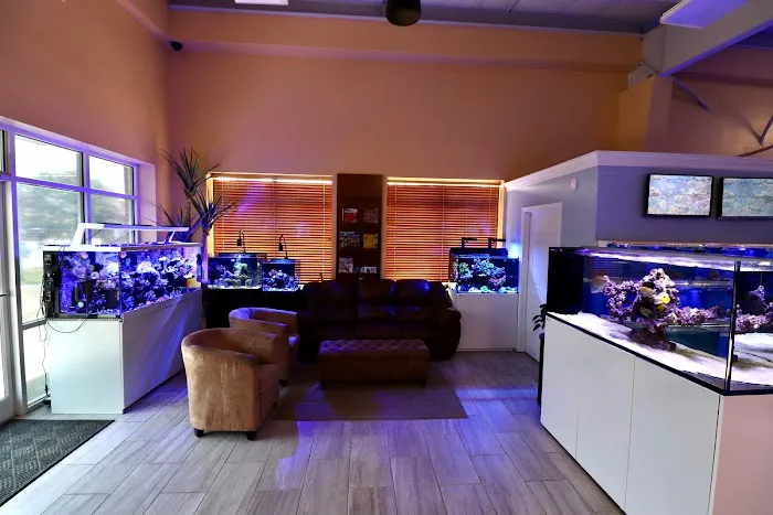 Nemo's Reef Picture 8
