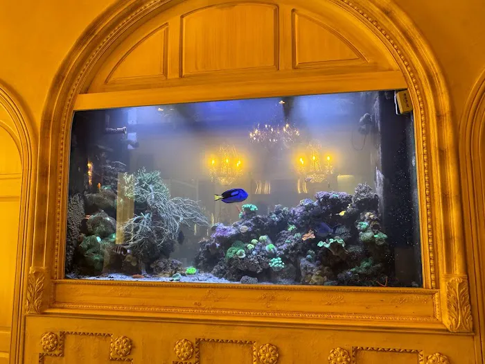 Under The Sea Aquarium Marketplace Picture 7