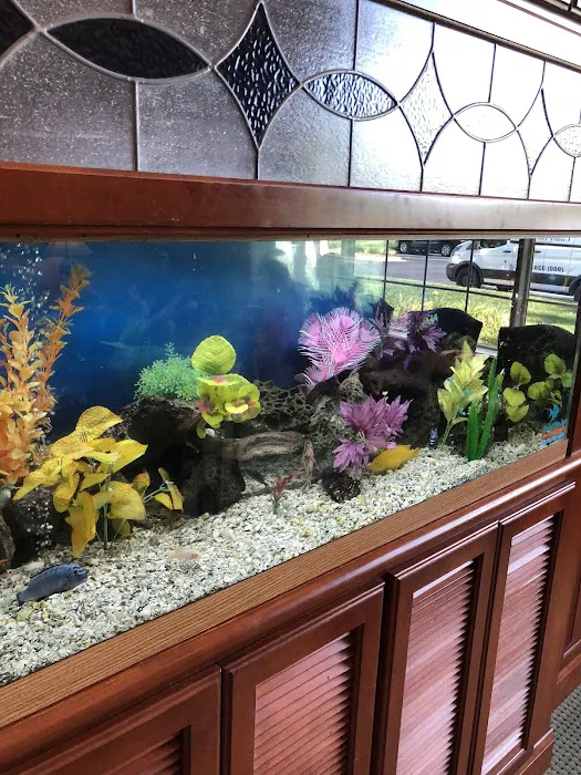 Under The Sea Aquarium Marketplace Picture 6