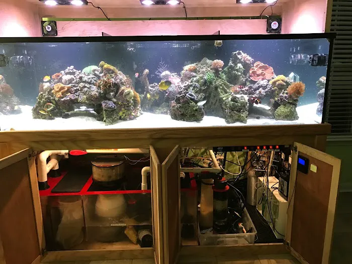 Under The Sea Aquarium Marketplace Picture 1