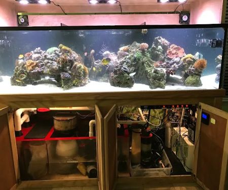 Under The Sea Aquarium Marketplace