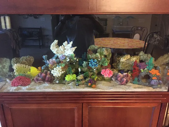 Under The Sea Aquarium Marketplace Picture 8